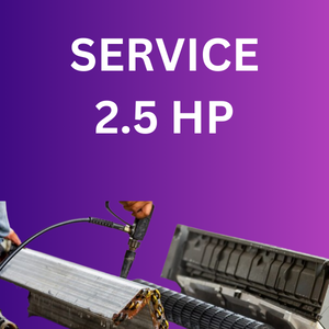 2.5 hp Service